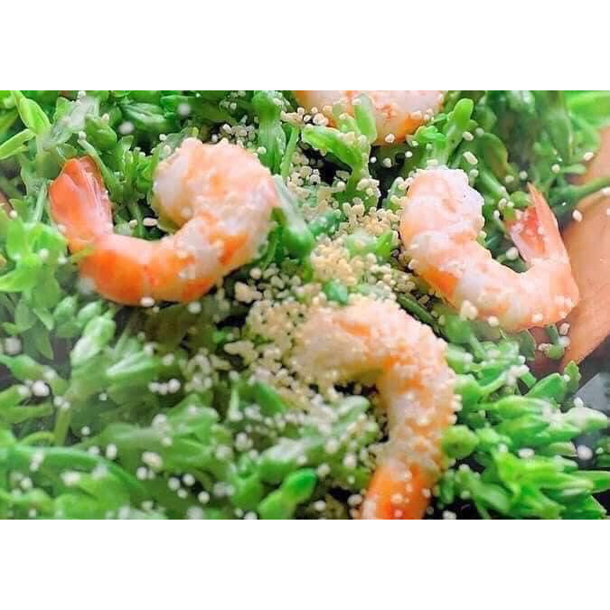 Hạt Nêm Sò Điệp Ajinomoto