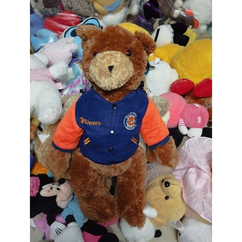 Gấu bông teddy size 55-60cm hàng kiện mỹ