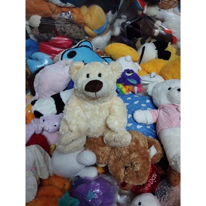 Gấu bông teddy size khoảng 30cm hàng kiện mỹ