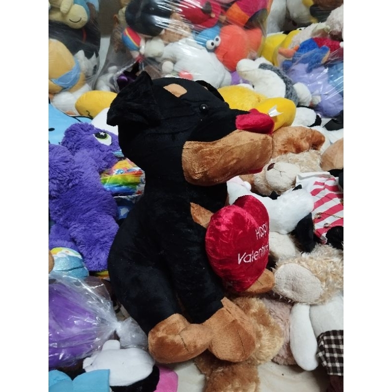 Gấu bông cún size khoảng 35cm