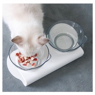 Bát ăn đôi trong suốt cho mèo chống gù có thể tháo rời - 4pets official