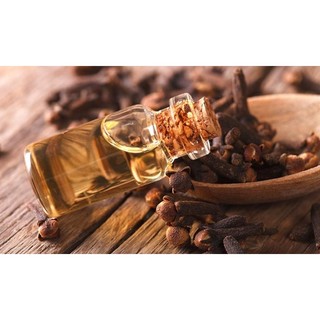 Tinh dầu Đinh Hương Leviter 10ml