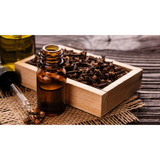 Tinh dầu Đinh Hương Leviter 10ml