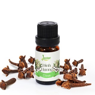 Tinh dầu Đinh Hương Leviter 10ml