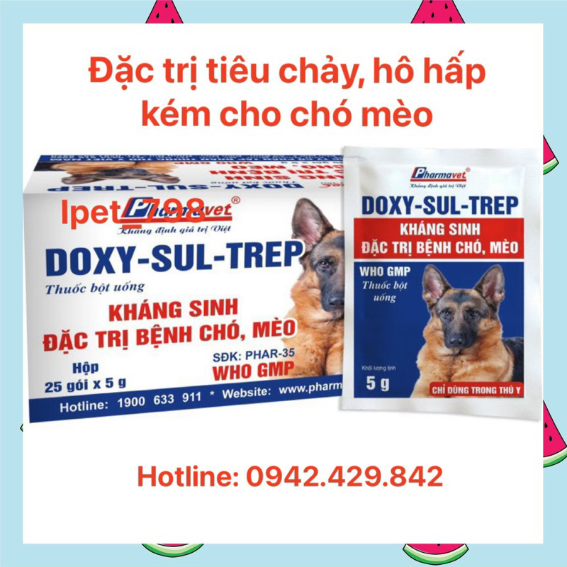 Kh áng s inh chống tieu chay và hô hấp kém cho chó mèo