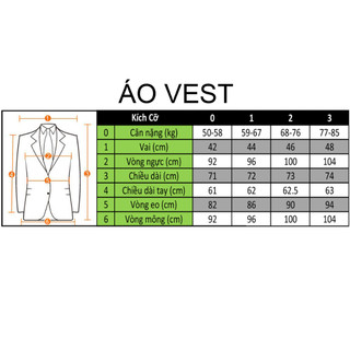 Vest  Ghi 4 Vạch Đen