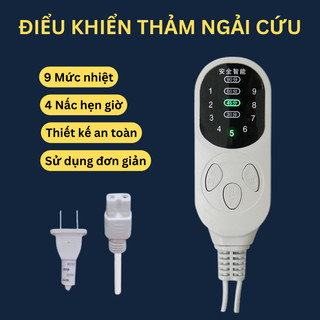 Điều khiển thảm ngải cứu, đai ngải cứu