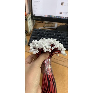 Dây Đỏ Đen 2P XH2.54-2P 30CM