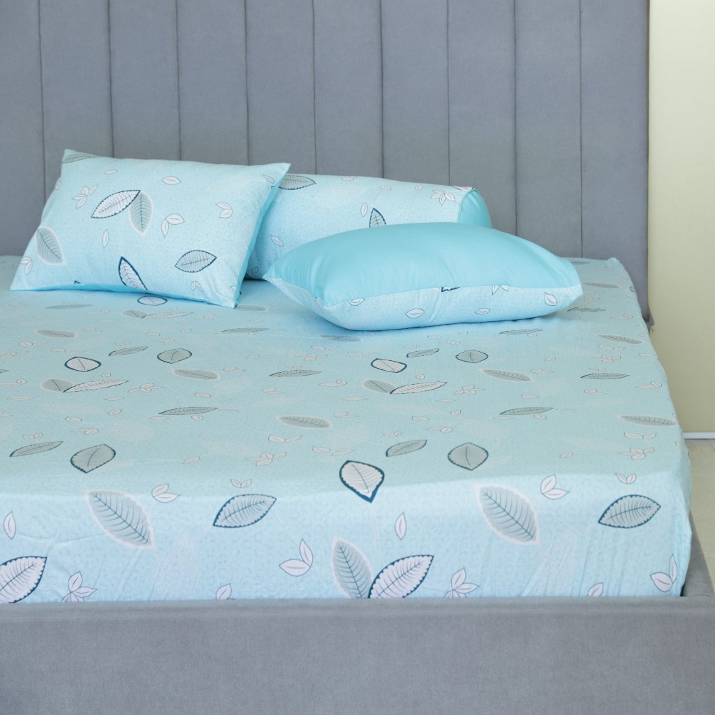 Bộ drap gối cotton phối màu Hometex