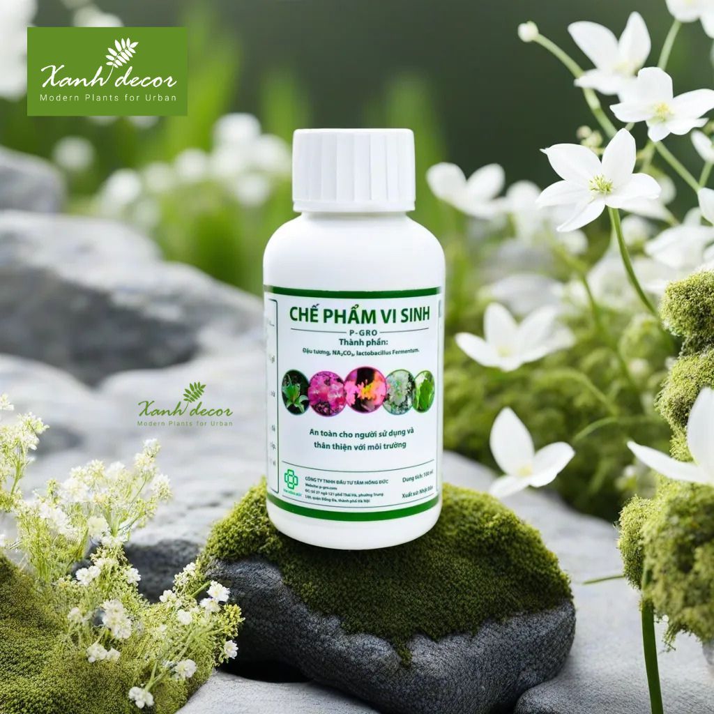 Chế phẩm vi sinh trị Rệp, Bọ, Sâu P-GRO an toàn cho cây và người sử dụng