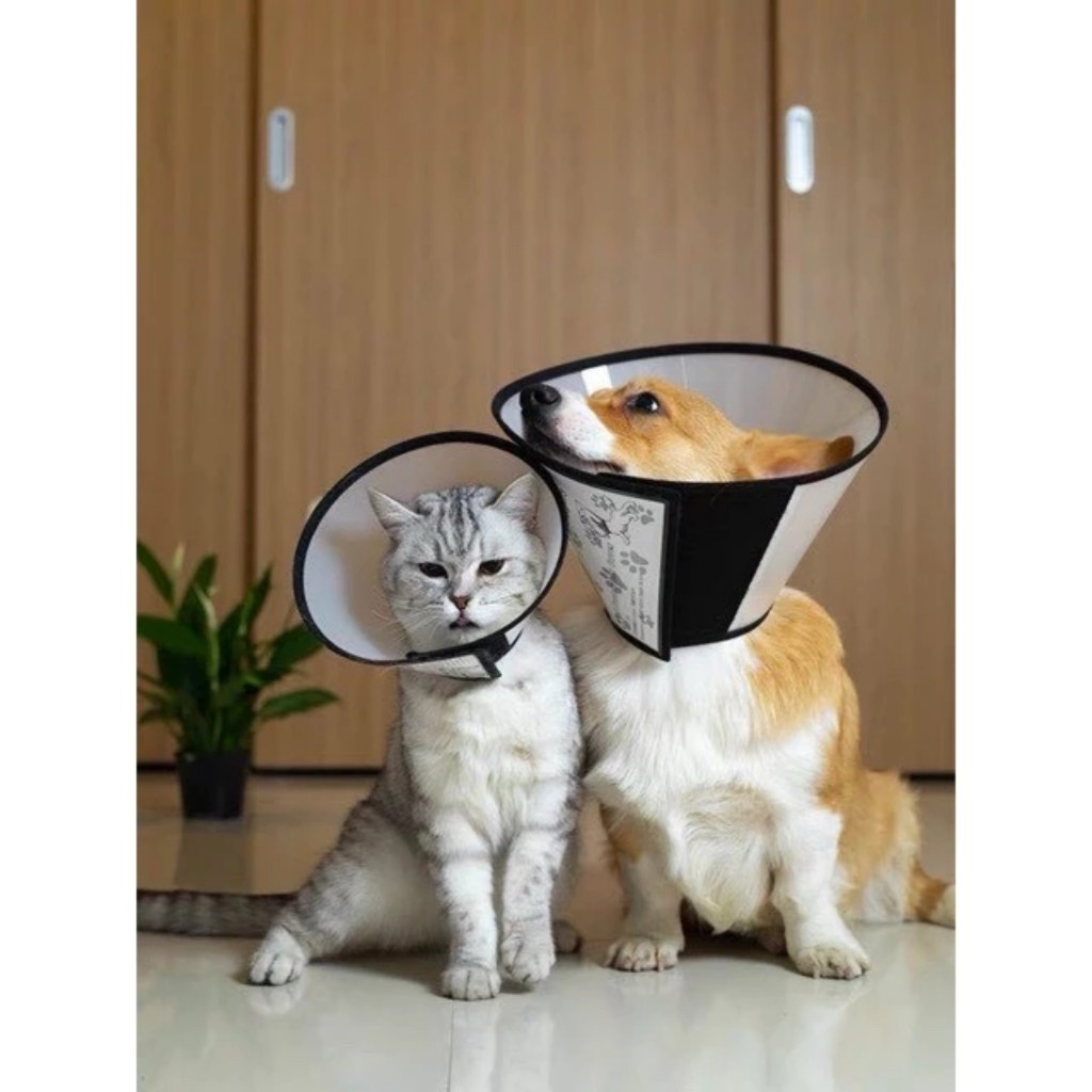 Giao hỏa tốc - Loa Chống Liếm/ Vòng Đeo Cổ Chống Liếm Cho Chó Mèo Thú Cưng