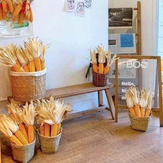 Bắp ngô thật phơi khô màu đẹp decor quán,tết...
