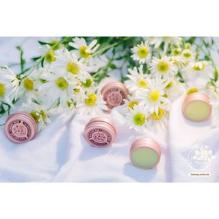 Sáp Giữ Ấm – Thông Mũi Lá Mây