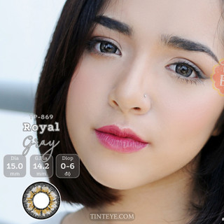 Kính Áp Tròng Tinteye Lens TP-869 Xám Hoàng Gia