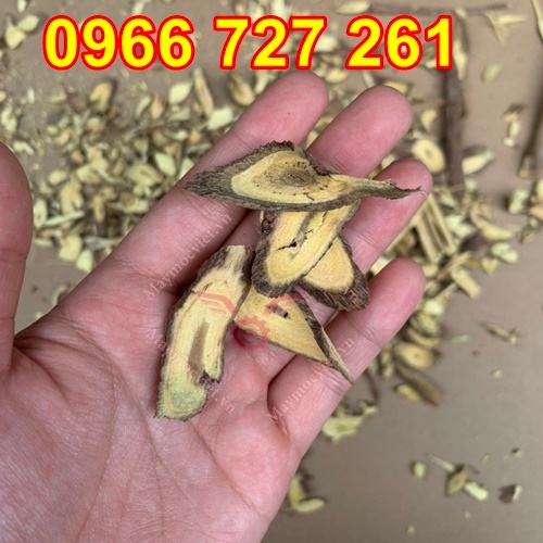 Máy Thái Thuốc Bắc - Nam 2 chức năng: THÁI LÁT + THÁI KHÚC