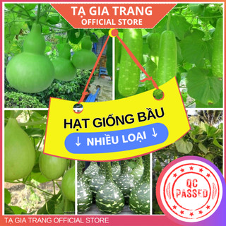 Hạt giống Bầu Các Loại (bầu hồ lô, bầu sao, bầu xị) cao sản