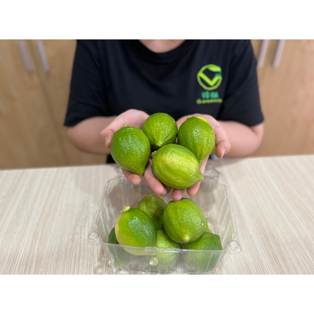 VG FARM Chanh Quảng Đông / Chanh Nước Hoa làm trà chanh