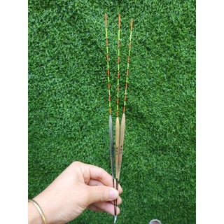 Phao cỏ lau câu đài chuyên rô chép rất nhậy