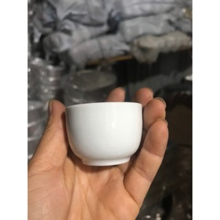 Chén sứ trắng uống trà hàng dàng bóng đẹp không quai