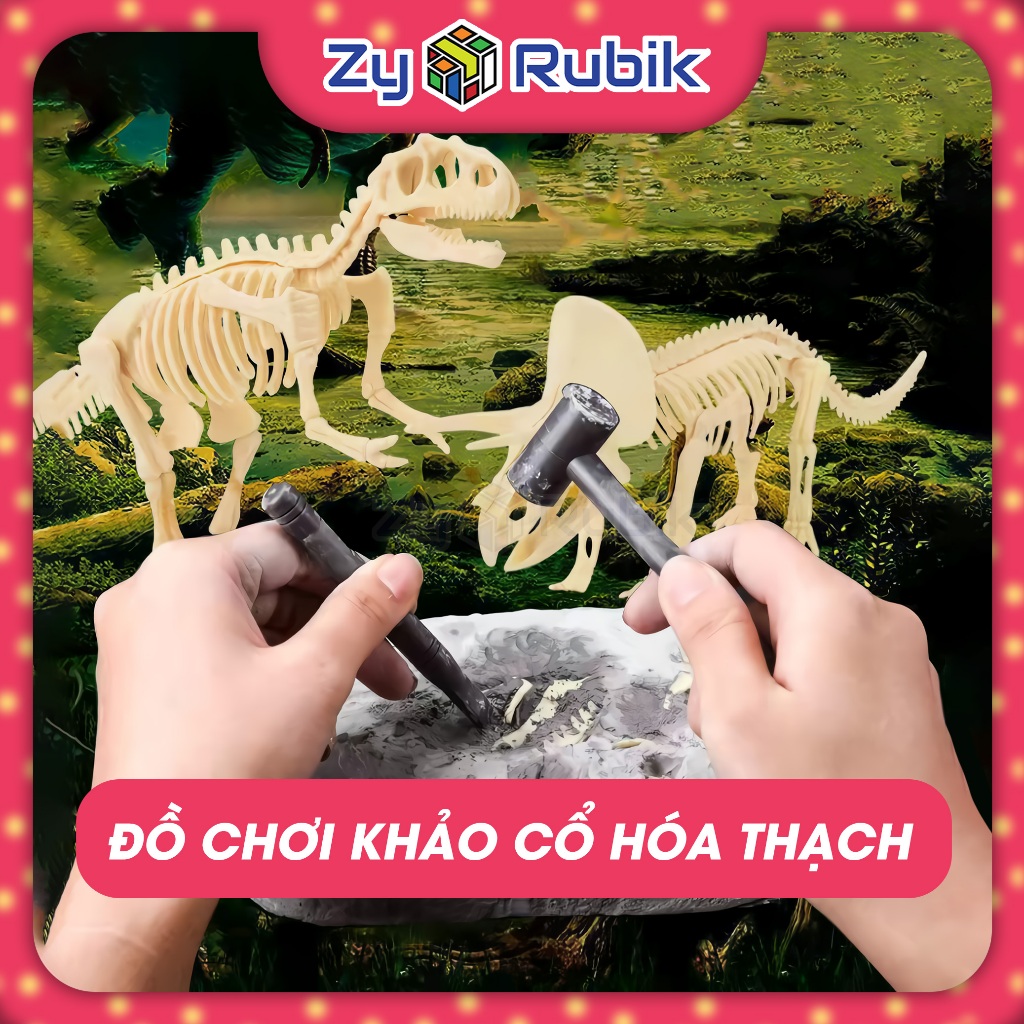 Đồ Chơi Khảo Cổ Đào Hóa Thạch Xương Khủng Long Mini Kèm Dụng Cụ Cho Bé Truy Tìm Hóa Thạch Đồ Chơi Thông Minh- Zyo Rubik