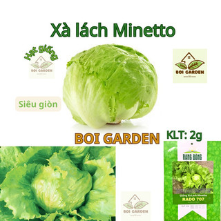 Hạt giống Xà Lách Minetto giòn ngọt
