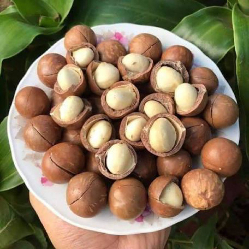 HẠT MACCA NỨT VỎ 1000G HỮU CƠ TỰ NHIÊN TÚI ZIP