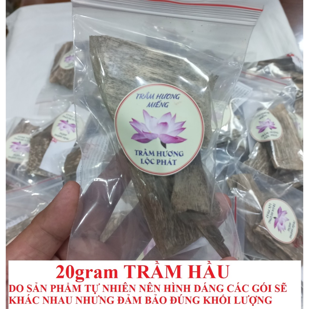 Trầm Hương Hầu Và Trầm Dăm - Trầm hương miếng xông nhà, trầm  Quảng Nam