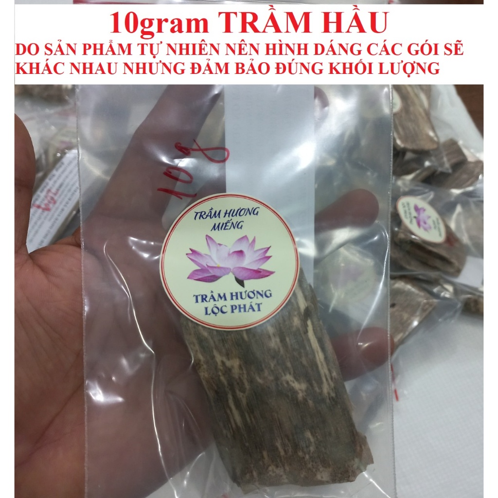 Trầm Hương Hầu Và Trầm Dăm - Trầm hương miếng xông nhà, trầm  Quảng Nam