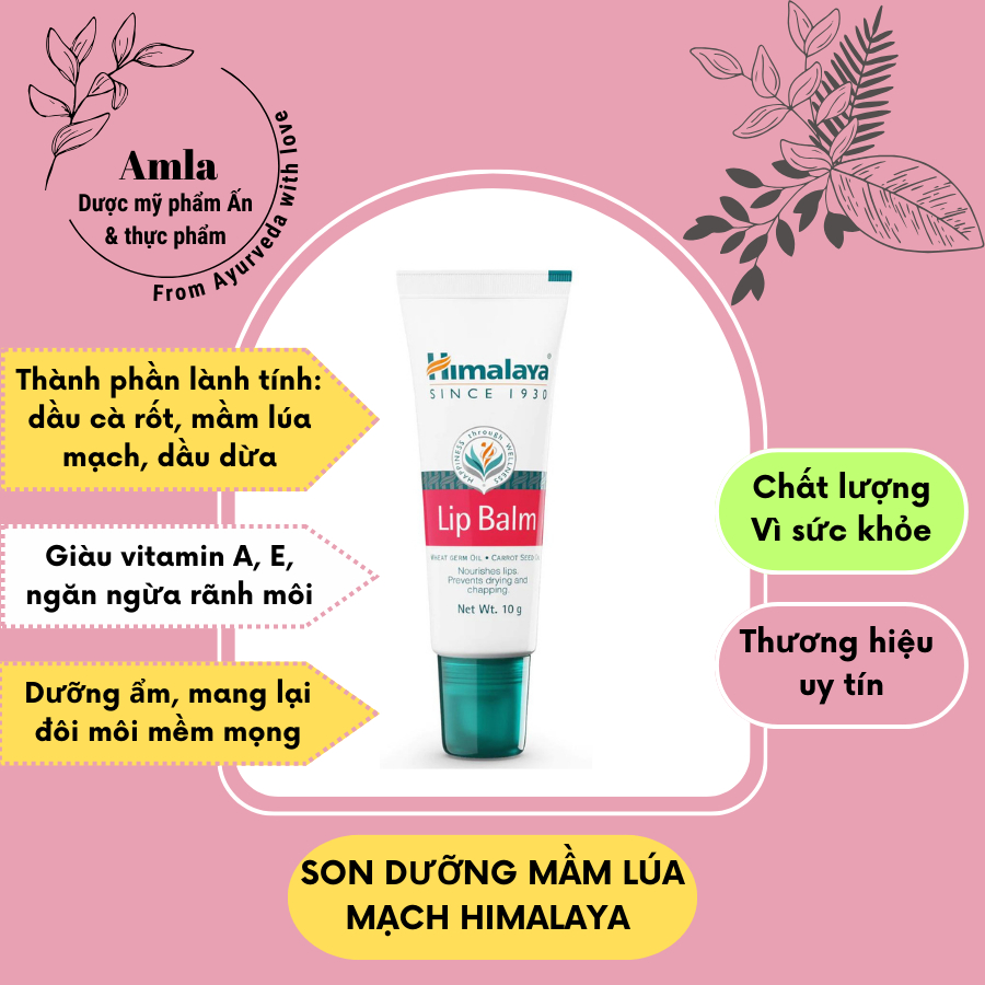 Son dưỡng mềm môi Himalaya lip balm - Amla Dược mỹ phẩm Ấn