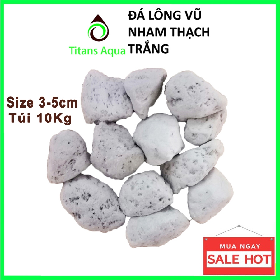 10Kg ĐÁ LÔNG VŨ - NHAM THẠCH TRẮNG SIZE LỚN 3-5cm