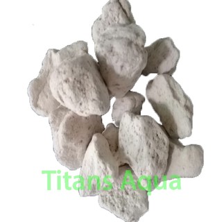 10Kg ĐÁ LÔNG VŨ - NHAM THẠCH TRẮNG SIZE LỚN 3-5cm