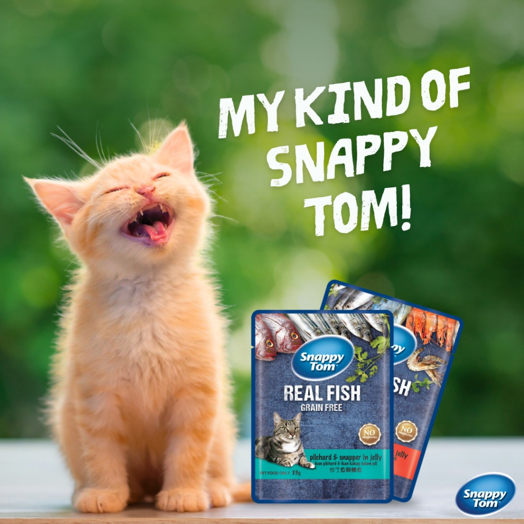 Pate Snappy Tom Real Fish Gói 85g Cho Mèo