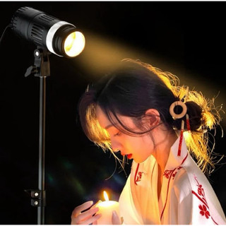 Đèn Spotlight Đánh Ven P60S 60w