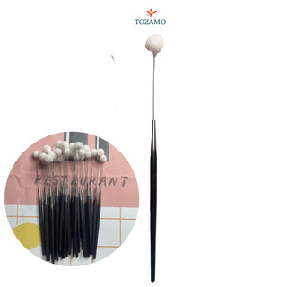 Combo 5 cây ngoáy tai, cây se tai lông vịt cán nhựa