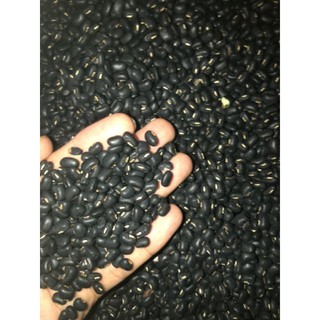 Đậu đen xanh lòng ( Hút chân không)