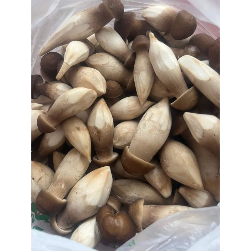 Nấm Mối Đen Tươi