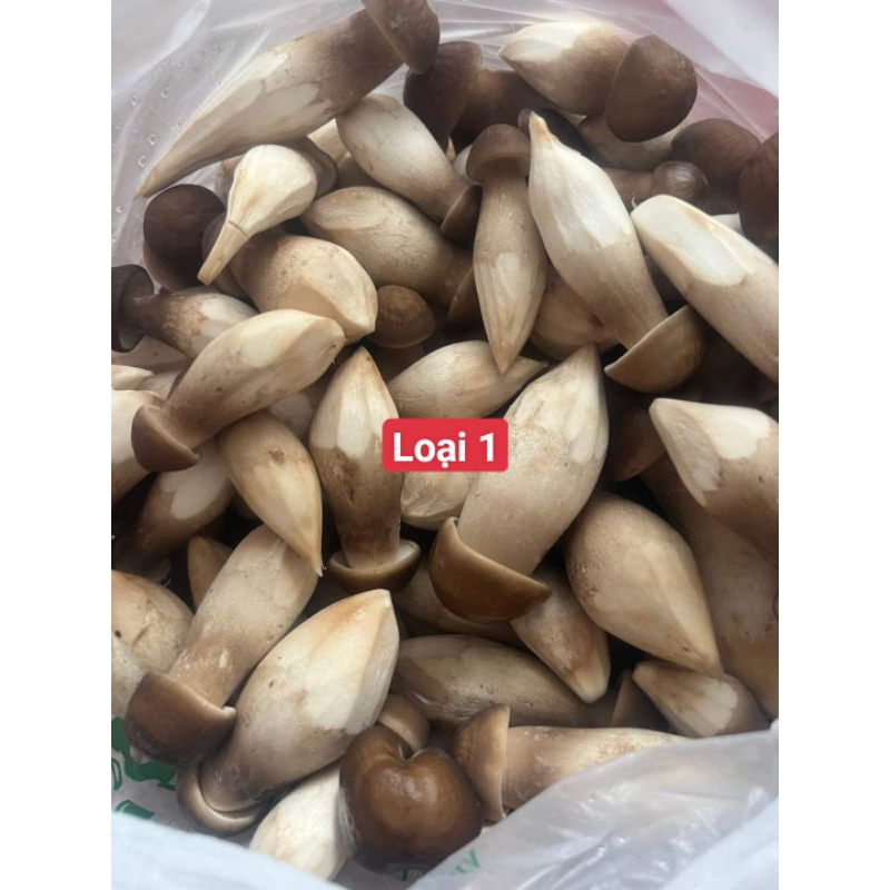 Nấm Mối Đen Tươi