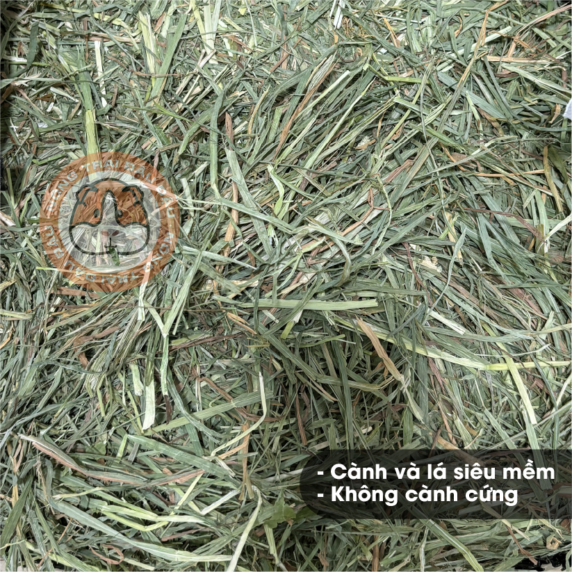 Cỏ Timothy Cho Thỏ, Bọ Ú, Chinchilla Siêu Mềm Timothy 2nd Cut 500g, 1kg