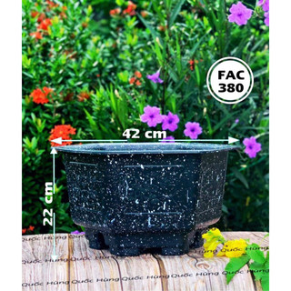 Chậu nhựa fac380 đá đen