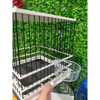 Cóng tắm chim hút mật cóng tắm hút mật 1 cặp
