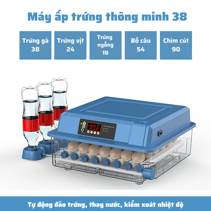 Máy ấp trứng gà thông minh thế hệ mới 220v & 12v