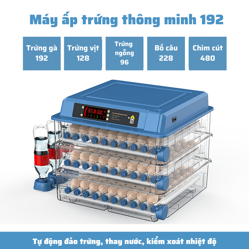 Máy ấp trứng gà thông minh thế hệ mới 220v & 12v