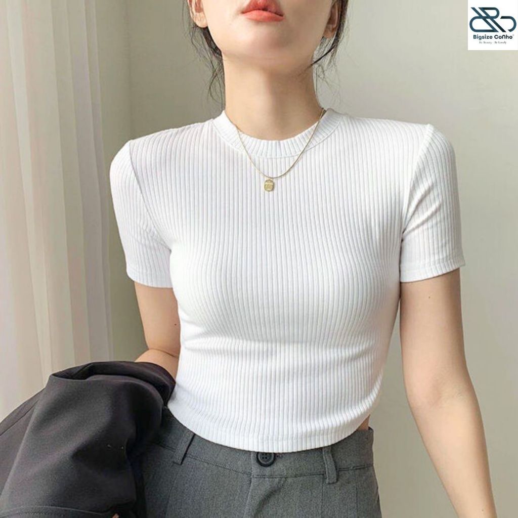 Áo Thun Croptop Cổ Tròn Bigsize Cô Nhỏ Chất Vải Gân Tăm Tôn Dáng Tôn Vòng 1 Sang Chảnh Basic Dễ Phối G102