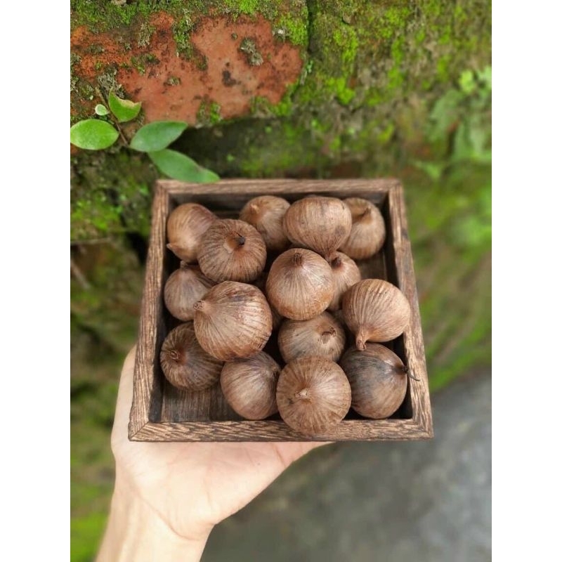 Tỏi Đen Cô Đơn Sơn La đóng hộp 500Gram