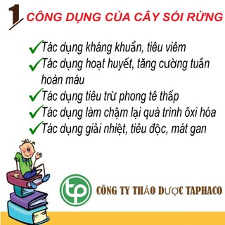 [Hàng Công Ty] Cây sói rừng khô (thơm, sạch) - Túi lớn loại 1kg - Sản phẩm giá tốt chất lượng cao
