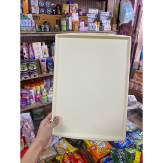 Khay Nhựa 27x37cm Khay nhựa VN airlines