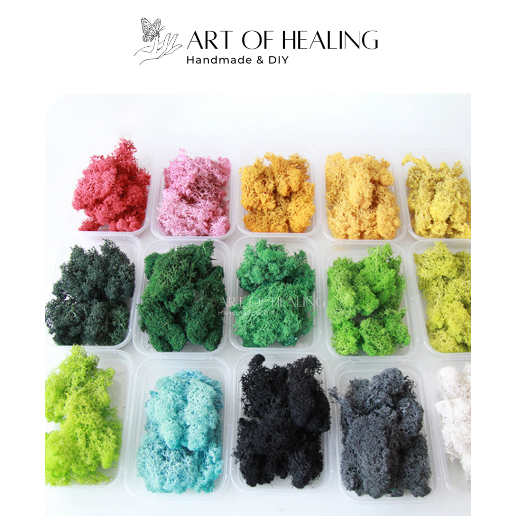 Rêu tuần lộc 50gr/100gr trang trí Noel, resin, mô hình, tiểu cảnh terrarium,... - Handmade & DIY