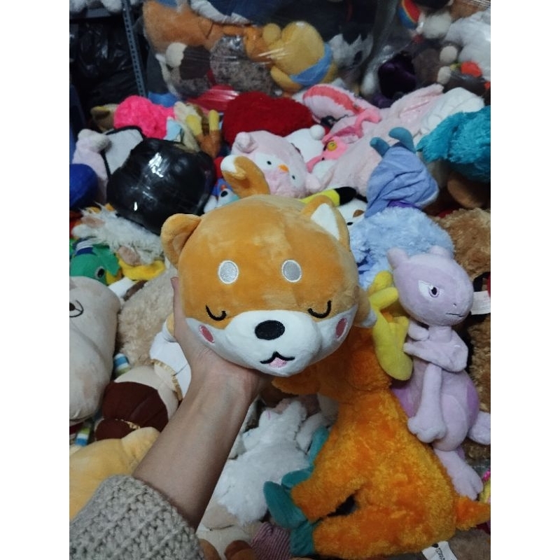 Gấu bông siba size 20-30cm