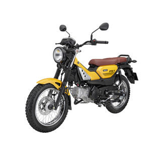 Xe Máy YAMAHA pg-1 FI New 2024
