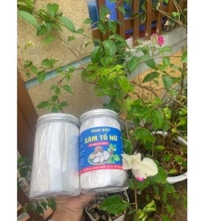 Tinh Bột Sâm Tố Nữ